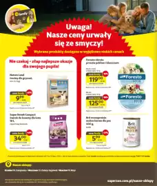 Kakadu gazetka Strona 2