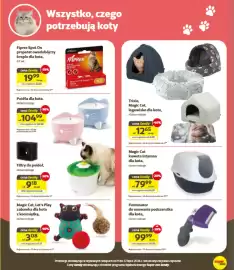 Kakadu gazetka Strona 6