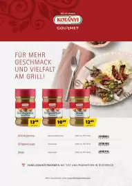 Eurogast Grissemann Flugblatt Seite 13