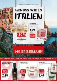 Der Grissemann Flugblatt woche 29 Seite 1