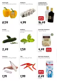 Der Grissemann Flugblatt woche 29 Seite 4