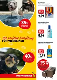Der Grissemann Flugblatt woche 29 Seite 6