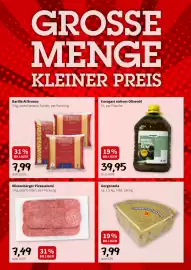 Der Grissemann Flugblatt woche 29 Seite 9