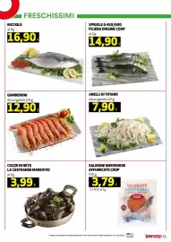Volantino Ipercoop Pagina 13