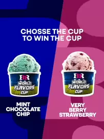 Baskin Robbins catalogue Page 9
