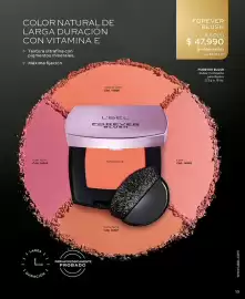 Catálogo L'bel Página 13