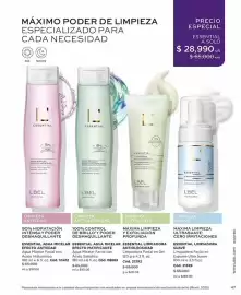 Catálogo L'bel Página 47