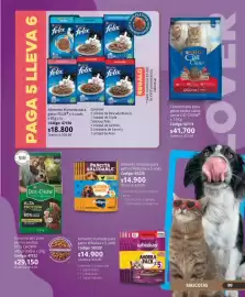 Catálogo Nova Venta Página 99