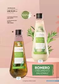 Catálogo Azzorti Página 13