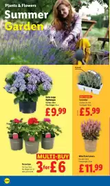 Lidl leaflet week 29 Page 22