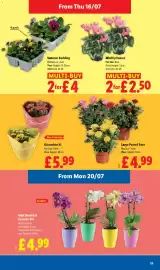 Lidl leaflet week 29 Page 23