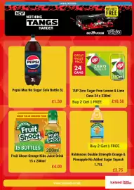 Iceland leaflet Page 4