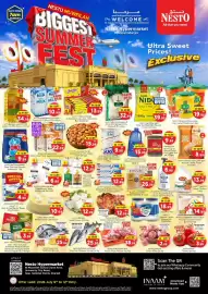 Nesto catalogue Page 1