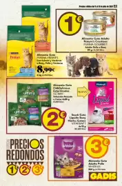 Folleto Gadis semana 28 Página 41
