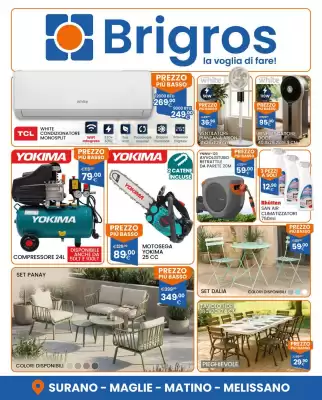Volantino Brigros (valido fino al 31-08)