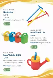 Volantino Borgione Pagina 25