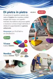 Volantino Borgione Pagina 32
