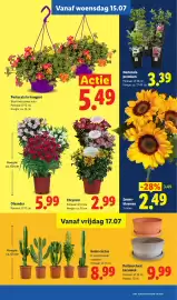 Lidl folder week 29 Pagina 17