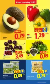Lidl folder week 29 Pagina 5