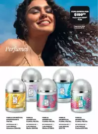 Catálogo Avon Página 100