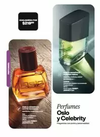 Catálogo Avon Página 101