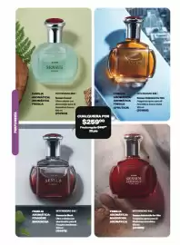 Catálogo Avon Página 63