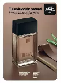 Catálogo Avon Página 66