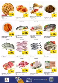 Nesto catalogue Page 3