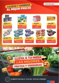 Catálogo Super Ganga Página 7