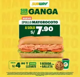 Catálogo Subway Página 2