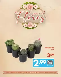 Catálogo Supermercados Big Compra Página 6
