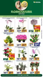Catálogo Supermercados Avenida semana 28 Página 1