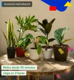 Catálogo Constructor Sodimac Página 13