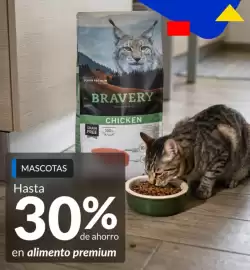 Catálogo Constructor Sodimac Página 21