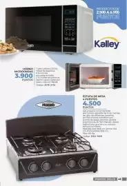 Catálogo Dolce Catálogos Página 43