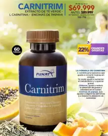 Catálogo Dolce Catálogos Página 15