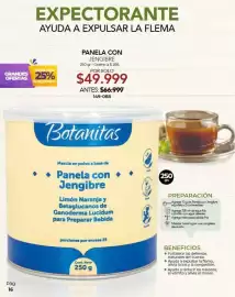 Catálogo Dolce Catálogos Página 16