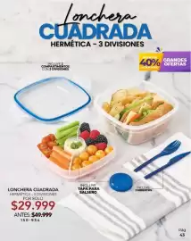 Catálogo Dolce Catálogos Página 43