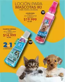 Catálogo Dolce Catálogos Página 57