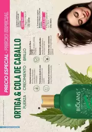Catálogo Azzorti Página 48