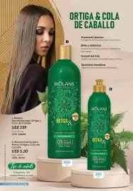 Catálogo Azzorti Página 50