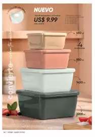 Catálogo Azzorti Página 242
