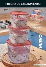 Catálogo Azzorti Página 223
