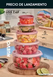 Catálogo Azzorti Página 225
