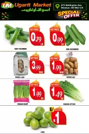 Ugarit Market flyer Page 5