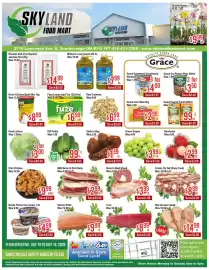 Skyland Foodmart flyer week 28 Page 1