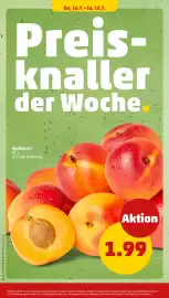PENNY Prospekt woche 29 Seite 26