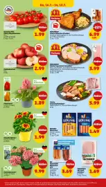 PENNY Prospekt woche 29 Seite 28