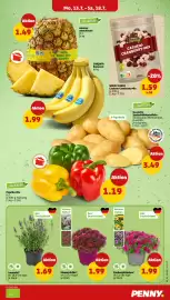 PENNY Prospekt woche 29 Seite 3