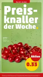 PENNY Prospekt woche 29 Seite 6
